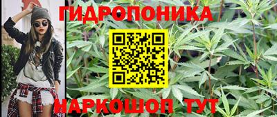 прущие грибы Кулебаки