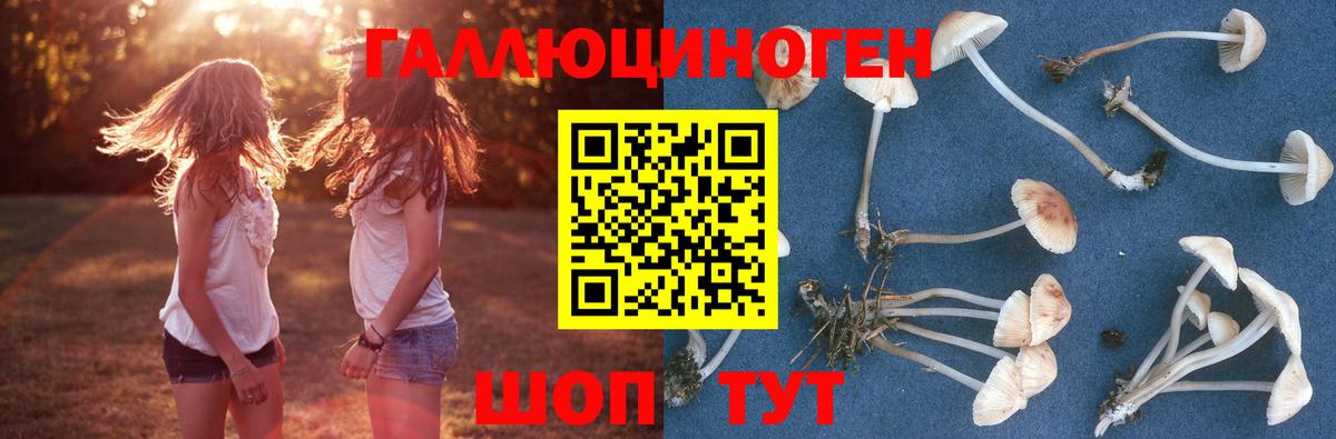 Каспийск  Псилоцибиновые грибы Magic Shrooms  Псилоцибиновые грибы Psilocybe  закладки  Вход с VPN 