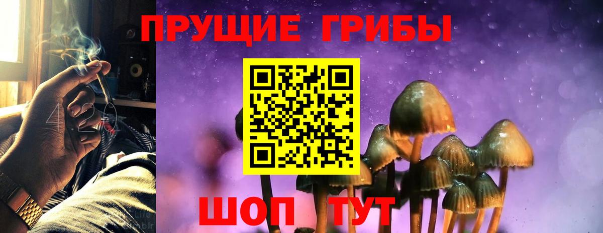 Галлюциногенные грибы Magic Shrooms Каспийск